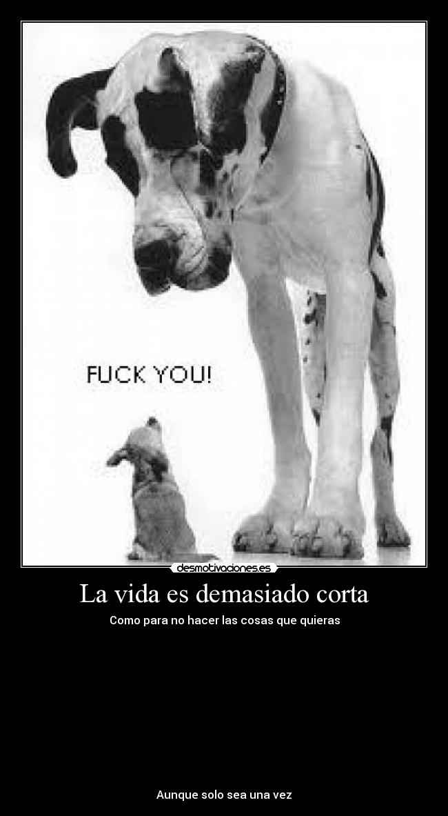 La vida es demasiado corta - 