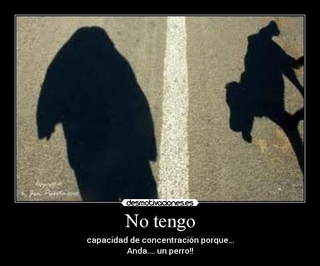 No tengo - capacidad de concentración porque...
Anda.... un perro!!