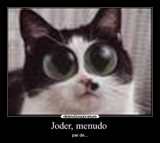 Joder, menudo  - par de....