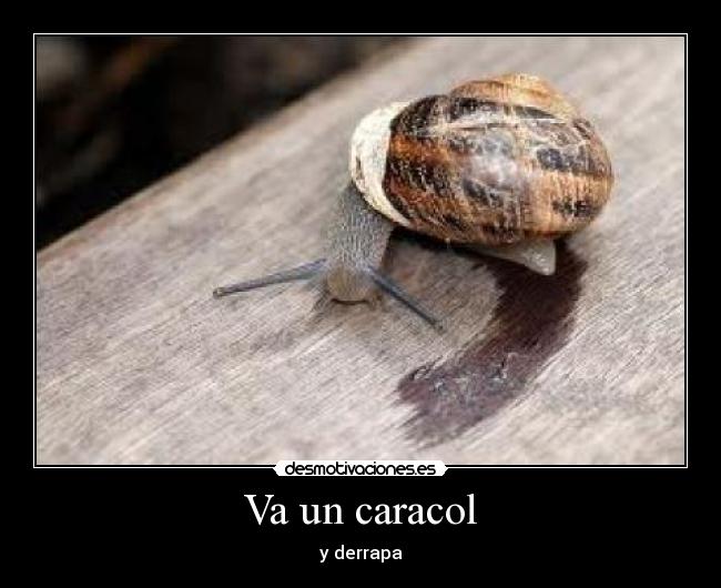 Va un caracol - y derrapa