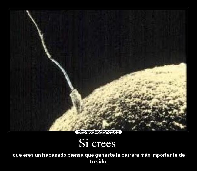 carteles ovulo espermatozoide desmotivaciones