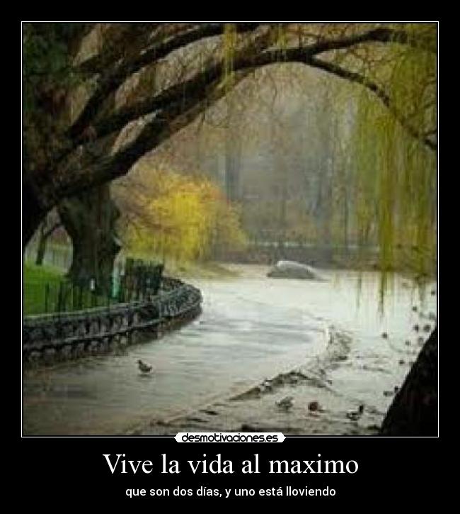 carteles vida aburrimiento lluvia maximo vida desmotivaciones