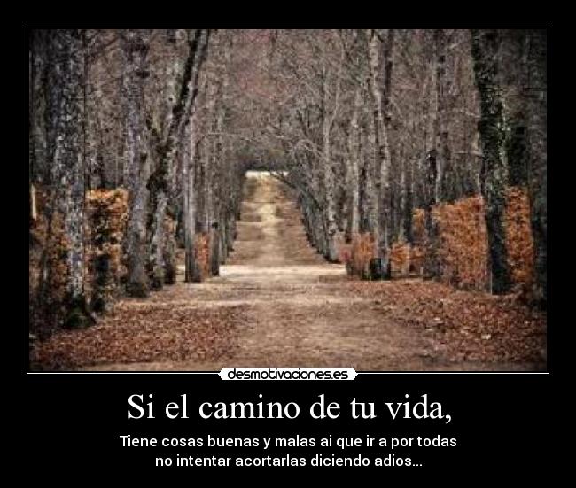 carteles vida saasss desmotivaciones