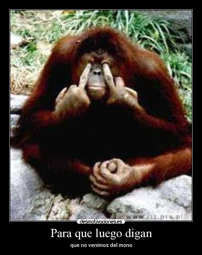 carteles mono evolucion desmotivaciones