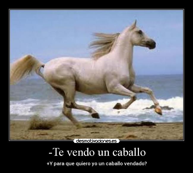 -Te vendo un caballo - +Y para que quiero yo un caballo vendado?