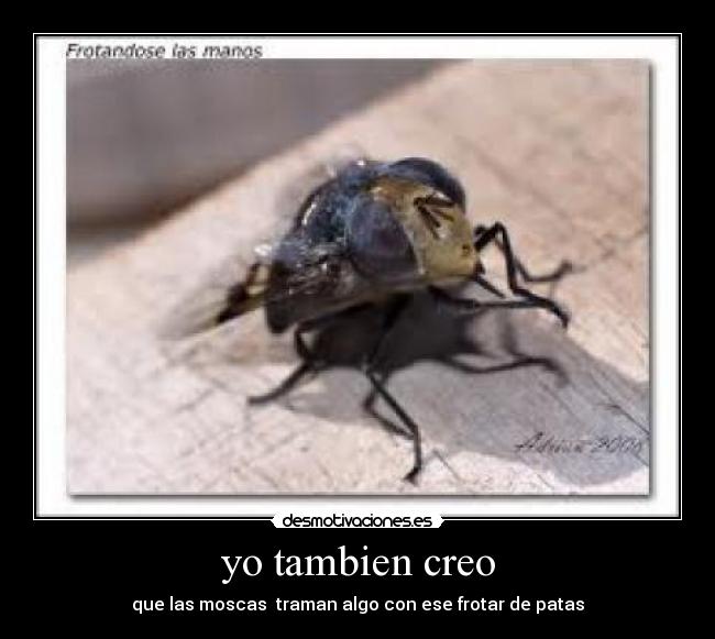 yo tambien creo - 
