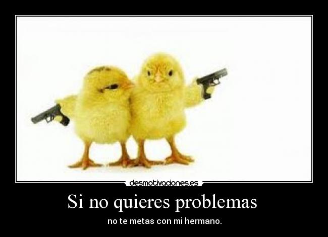 Si no quieres problemas  - no te metas con mi hermano.