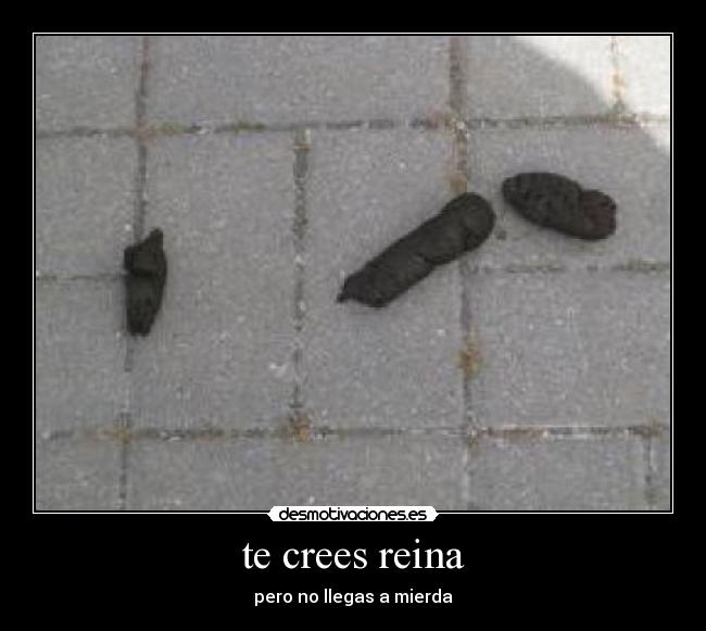 carteles desmotivaciones