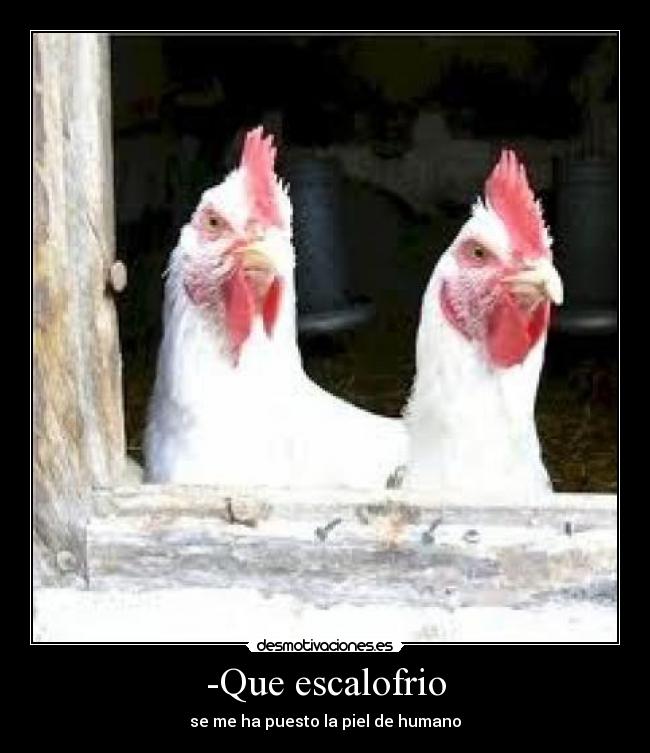-Que escalofrio - se me ha puesto la piel de humano