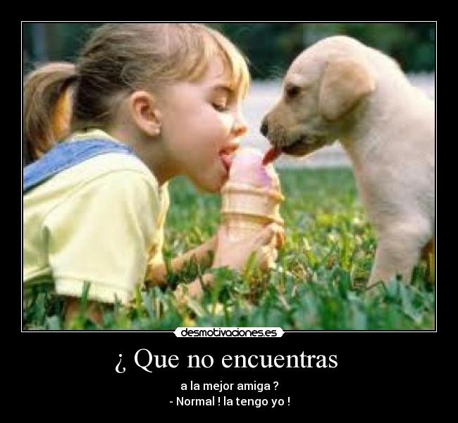 ¿ Que no encuentras -