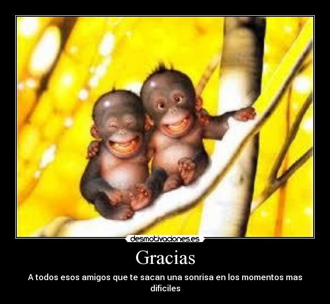 Gracias - A todos esos amigos que te sacan una sonrisa en los momentos mas dificiles