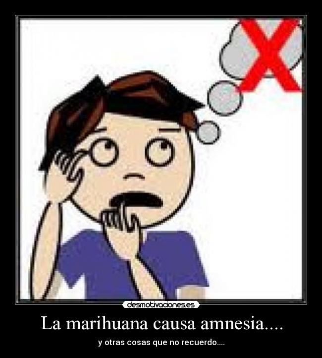 La marihuana causa amnesia.... - 