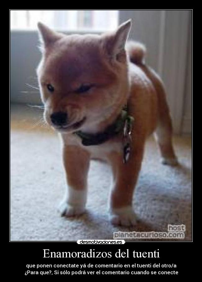 Enamoradizos del tuenti -