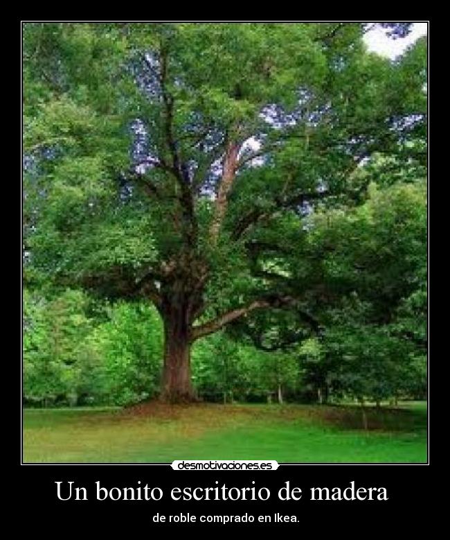 Un bonito escritorio de madera - de roble comprado en Ikea.