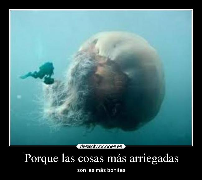 Porque las cosas más arriegadas -