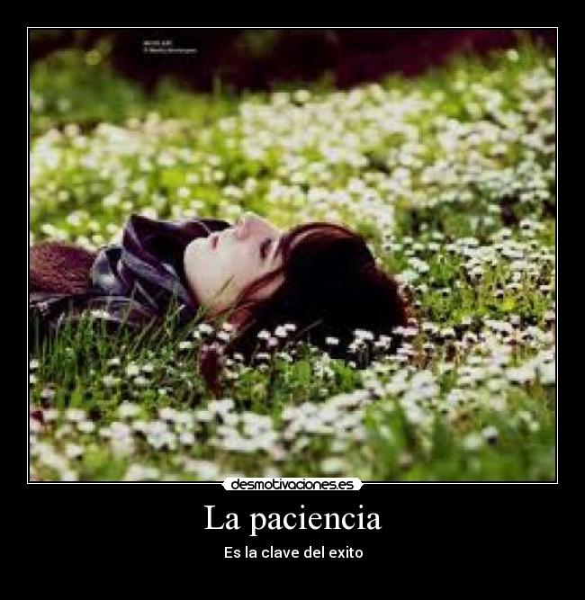 La paciencia - 