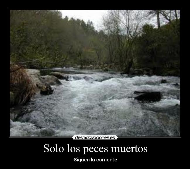 Solo los peces muertos - Siguen la corriente