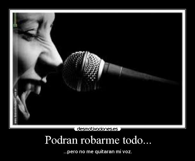 Podran robarme todo... - 