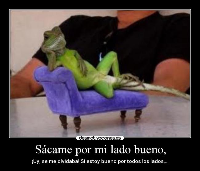 carteles iguana desmotivaciones