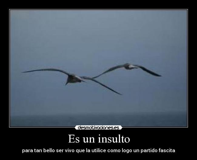 Es un insulto -
