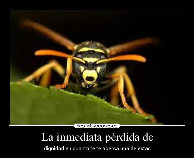 La inmediata pérdida de -