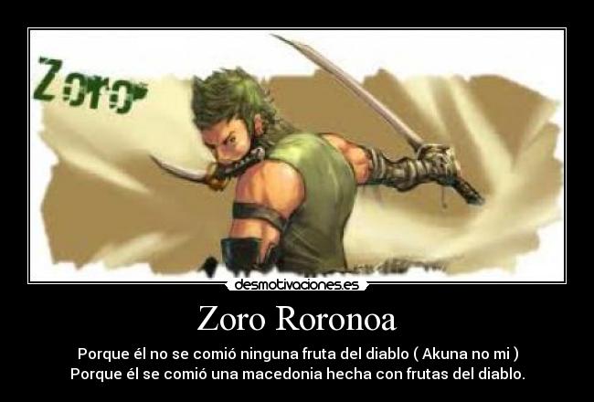 Zoro Roronoa - 