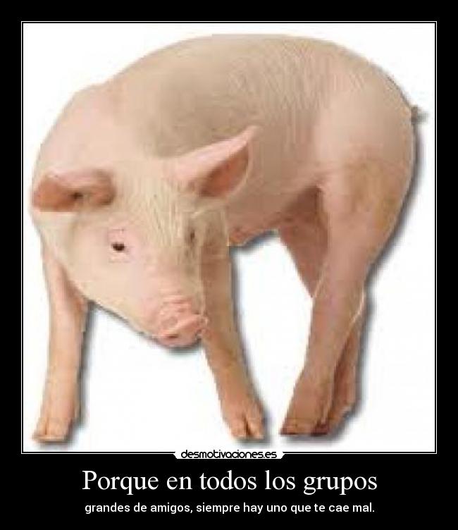Porque en todos los grupos - grandes de amigos, siempre hay uno que te cae mal.