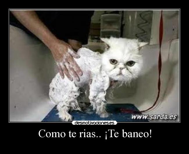 Como te rias.. ¡Te baneo! - 