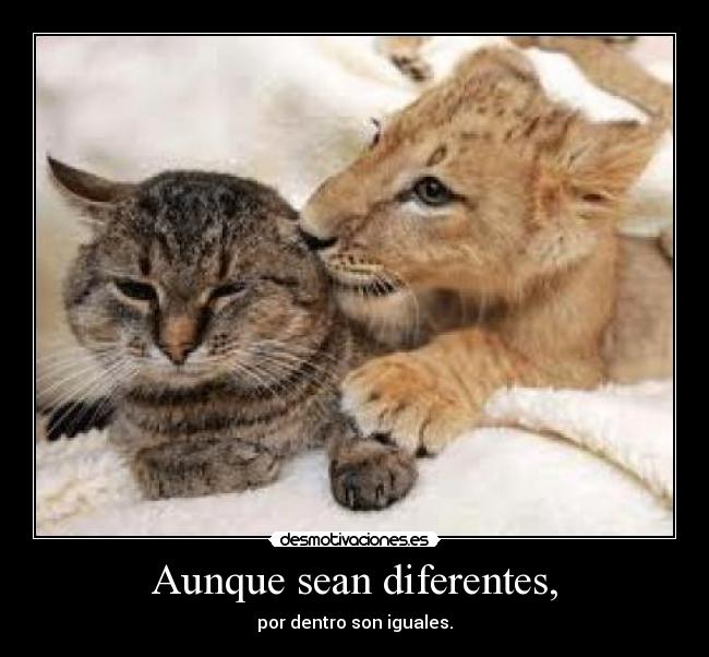 Aunque sean diferentes, -