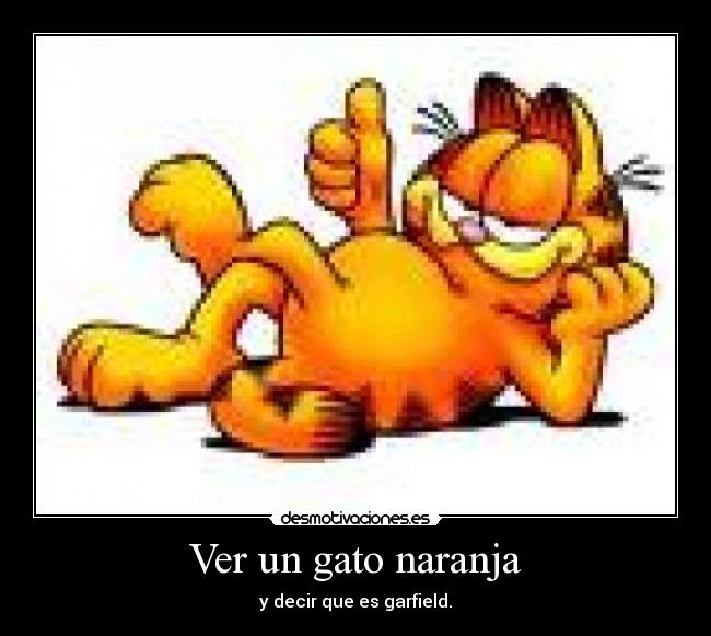 Ver un gato naranja -