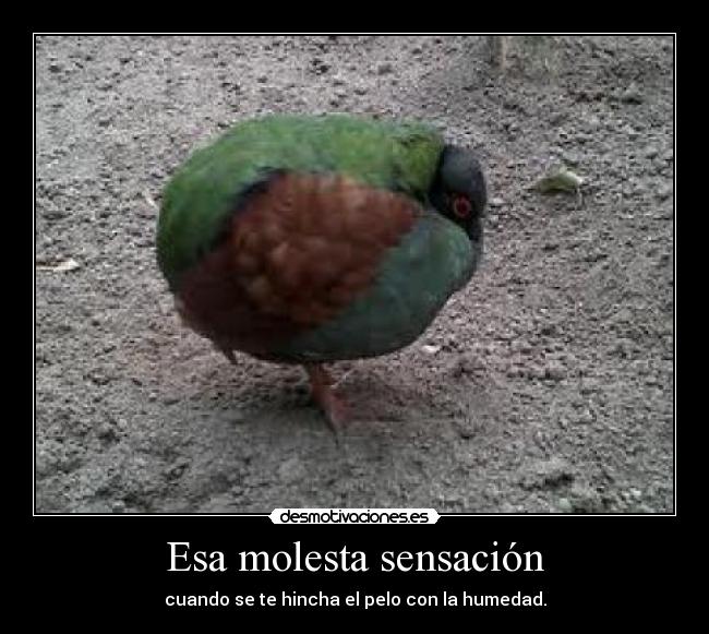 carteles humedad desmotivaciones