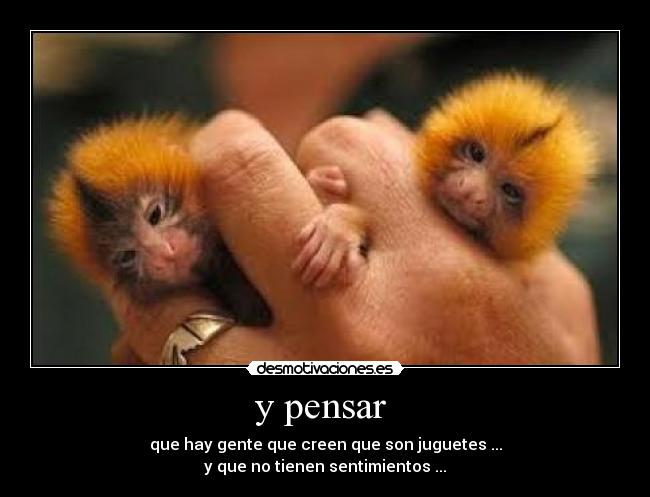 y pensar -