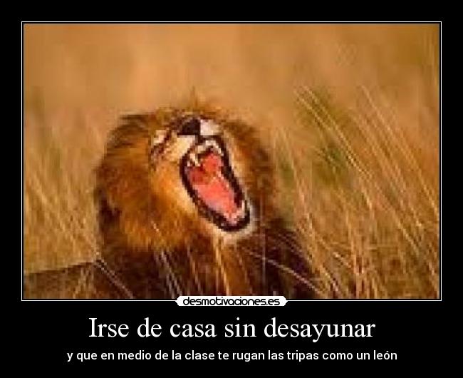 Irse de casa sin desayunar - y que en medio de la clase te rugan las tripas como un león