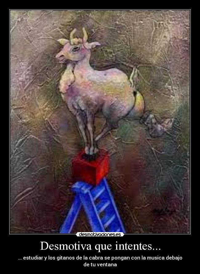 Desmotiva que intentes... - 