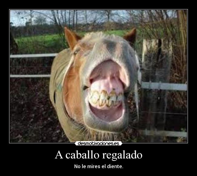 A caballo regalado - No le mires el diente.