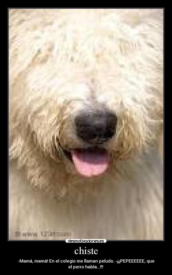 carteles chiste chiste desmotivaciones