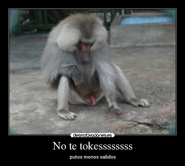 No te tokessssssss -