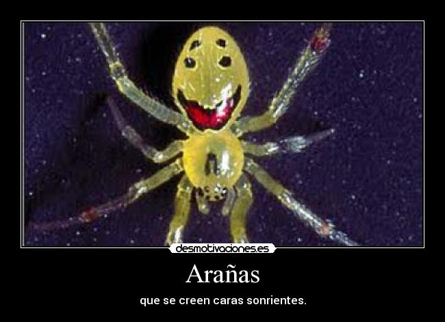 Arañas - 