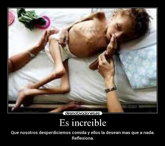 Es increible - Que nosotros desperdiciemos comida y ellos la desean mas que a nada.
Reflexiona.