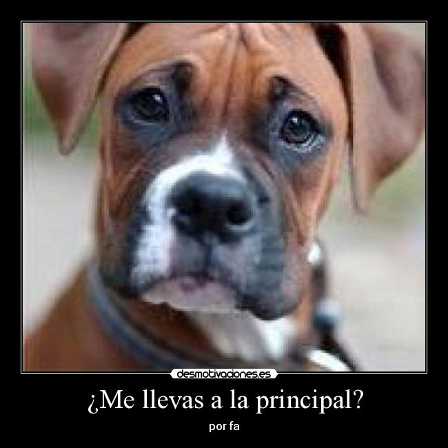 ¿Me llevas a la principal? - por fa