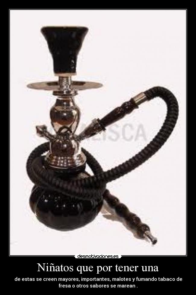 Niñatos que por tener una - 