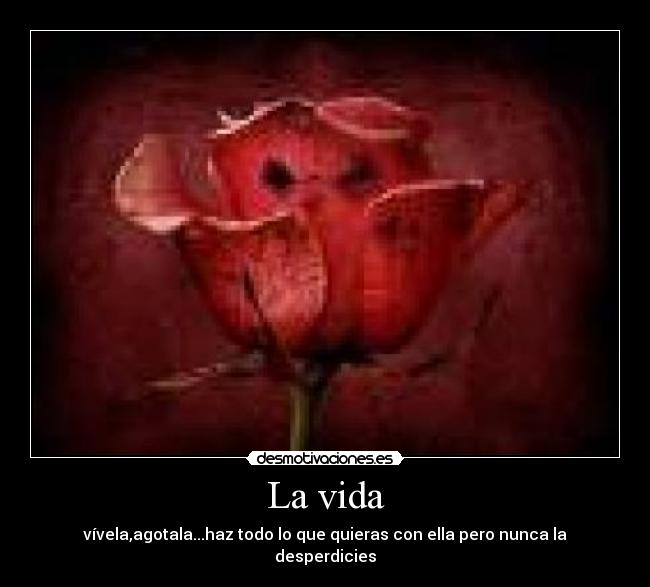 La vida - 