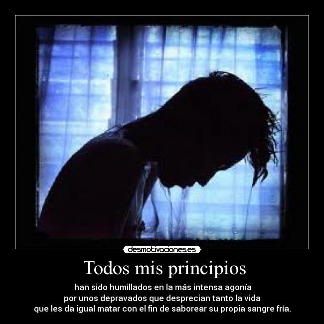 Todos mis principios -