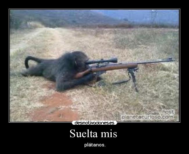 carteles mono francotrirador desmotivaciones