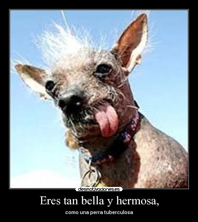 Eres tan bella y hermosa, -