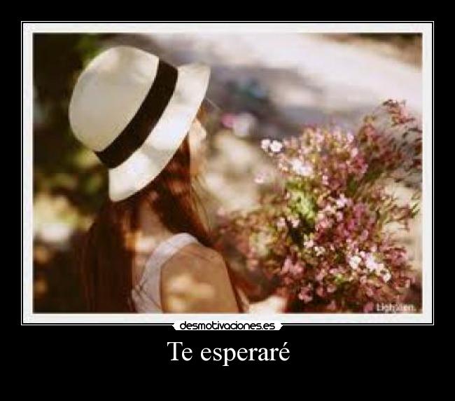 Te esperaré - 