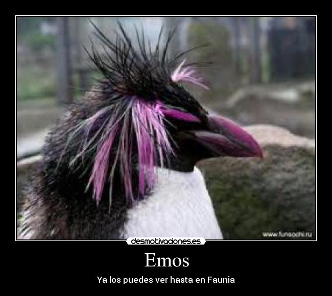 Emos -
