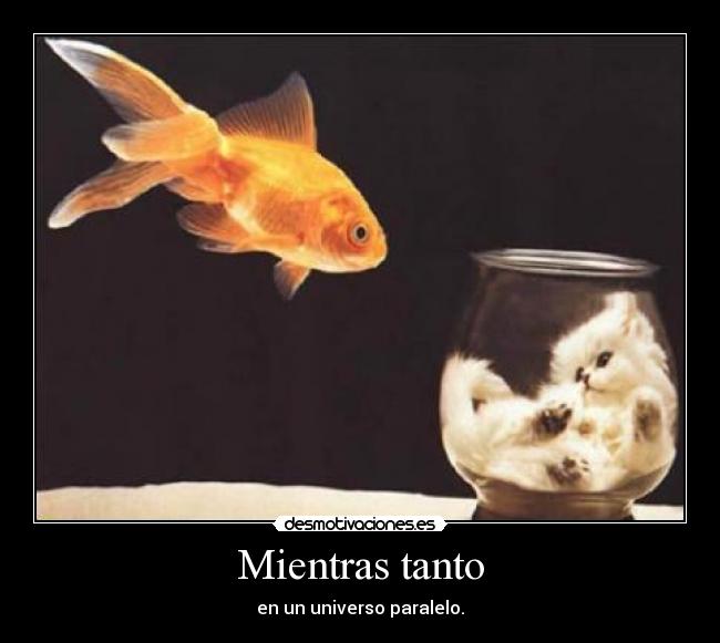 Mientras tanto - en un universo paralelo.