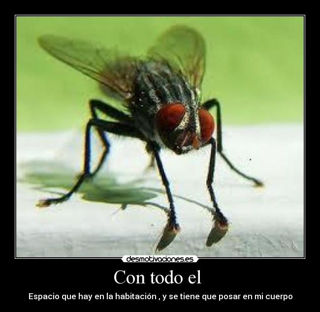 carteles desmotivaciones