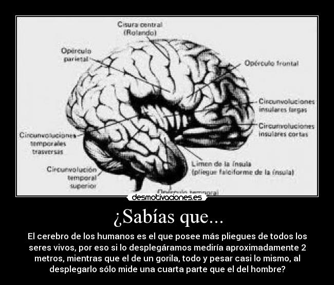 carteles leckram desmotivaciones